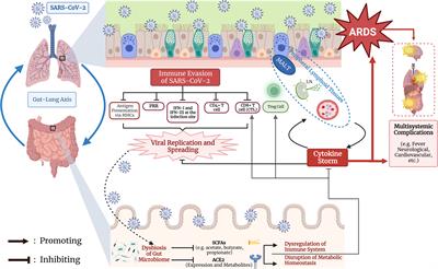 Regulation of SARS-CoV-2 infection by diet-modulated gut microbiota